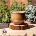 Zitao Cup ( wood fired & ash ) - 70ml