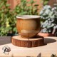 Zitao Cup ( wood fired & ash ) - 60ml