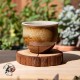 Zitao Cup ( wood fired & ash ) - 60ml