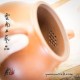 Zitao Teapot - Pan Hu - 210ml