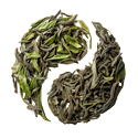 Sheng Puer Blend