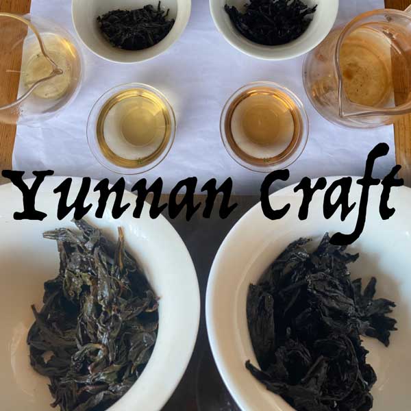 comparing two different roast of da hong pao