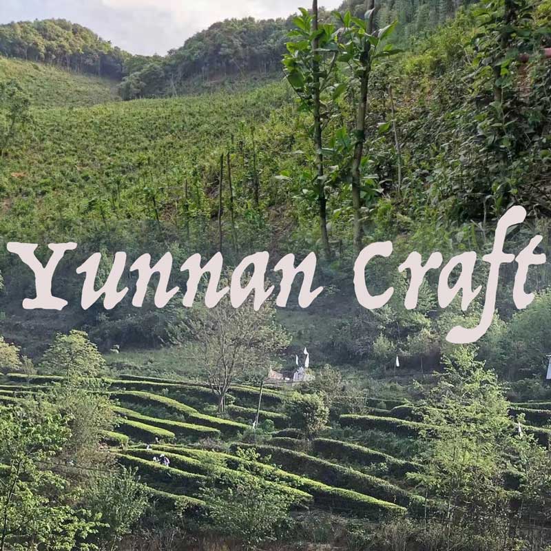 Yunnan Tea Plantations